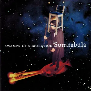 Swamps of simulation